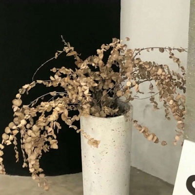 华州FurryQQ群介绍